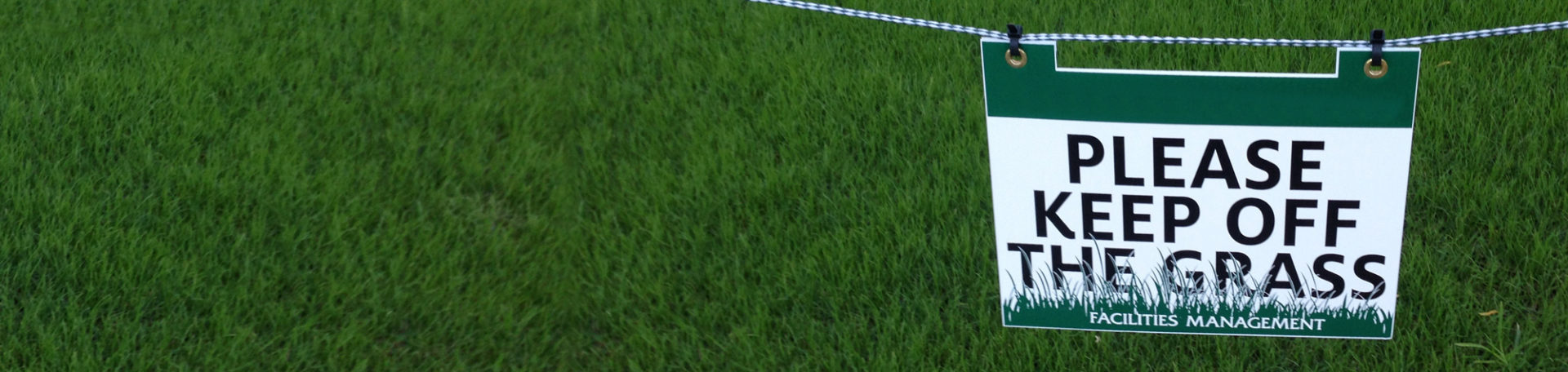 Impact of Coronavirus on Live Sport